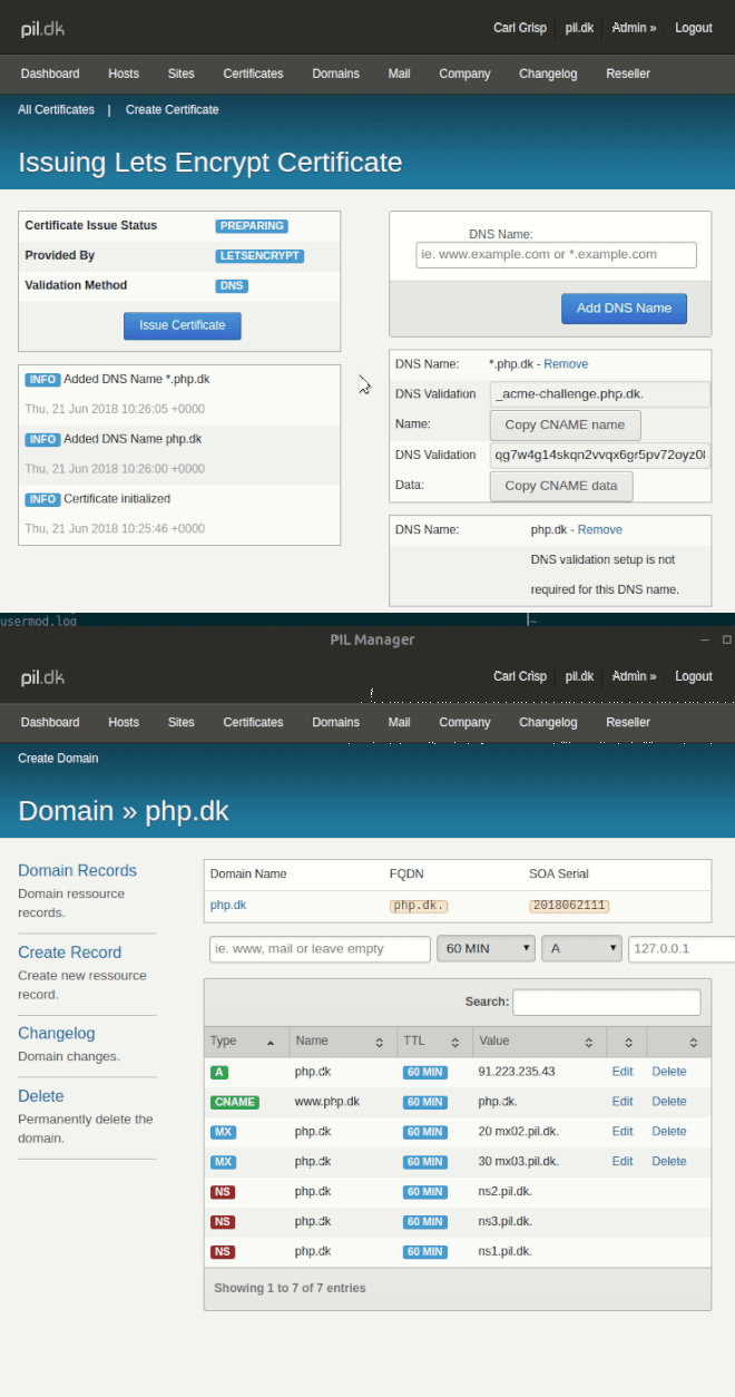 dns records